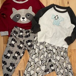 Two Pajamas Set - Raccoon and Penguin Design